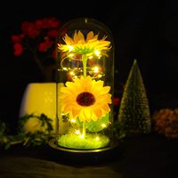 2024 vente chaude produit créatif saint valentin cadeau fleur artificielle verre dôme ornement lueur Rose dôme personnaliser idées cadeaux