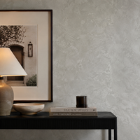 Peinture Murale Intérieure Velours Effet Artistique Doux au Toucher Finition Texturée Luxe pour Salon Chambre Hôtel Villa Décoration