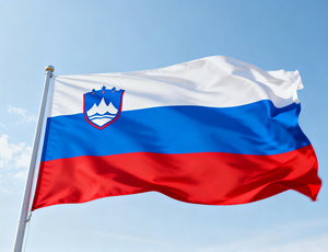 Vlag Fabrikant Relatiegeschenk Reclame Vlag Maatwerk 3X5 Voet Custom Vlag Bedrijfsevenement Alle Nationale Vlaggen - Product Image 2