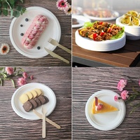 100 pièces d'assiettes jetables écologiques en bagasse de canne à sucre de 6 pouces pour le camping