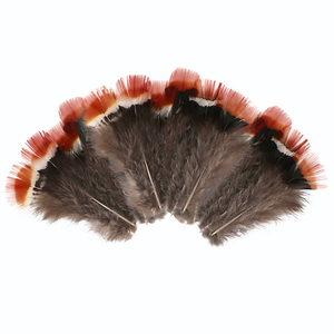 Piume di Fagiano Amherst Rosse Economiche all'Ingrosso, 5-10cm, Lavate con Motivi Decorativi per Artigianato e Cappelli - Product Image 6