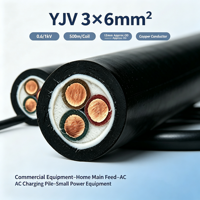 Câble d'alimentation pour chargeur de VE YJV 3 conducteurs 6mm² isolé XLPE gaine PVC cuivre pour recharge AC, usage domestique et équipement commercial