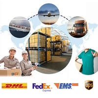 Ports chinois vers ports mondiaux Transport direct logistique DHL Fedex UPS FCL Air LCL Express Shenzhen Top3 transitaire