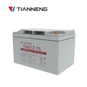Batería eléctrica de dos ruedas Tianneng TNE 12-75 12V 75Ah Motive Lead Acid - Product Image 3