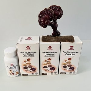 GANOHERB OEM Fábrica Fornecimento Chinês Multi-Cogumelo Cápsulas com Ganoderma Lucidum Spore Powder Atacado Bulk Fabricante - Product Image 6