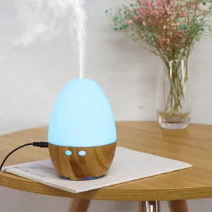2022 Humidifier Home Scent Aroma Diffuser Mini Portable Cool Mist Rechargeable USB Humidifier Manufacturer