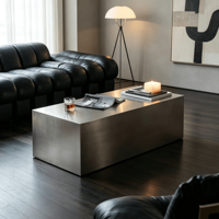 Ensemble de table basse et canapé en acier inoxydable minimaliste moderne pour la maison, salon, petits appartements, pas d'assemblage requis, modèle