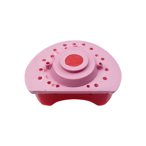 Modello Dentale Ortodontico per Trattamento con Brackets, per Pratica e Formazione di Tecnici Dentali, Insegnamento Odontoiatrico - Product Image 4