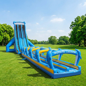 Toboggan gonflable géant pour adultes et enfants nouveau design Toboggan aquatique gonflable pour dauphins Toboggan aquatique gonflable - Product Image 1