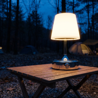 Lampe de table LED moderne pour extérieur, camping, patio et jardin, avec base argentée, abat-jour givré, variateur tactile, sans fil et rechargeable