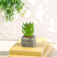 Fleurs artificielles, mini-pots en pierre, plantes succulentes, décoration d'intérieur tendance, accessoires de mariage et de photographie, vert, utilisation en intérieur