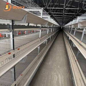 Chất Lượng Cao Tự Động Pin Hai Lồng Cho Gia Cầm Trang Trại Yếu Hiệu Quả Công Cụ Quản Lý - Product Image 6