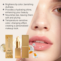 Rouge à lèvres magique TikTok en vogue, à la feuille d'or, changeant de couleur selon la température, 3 couleurs, hydratant, cosmétique