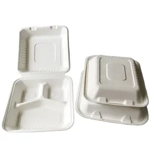 Disposable Biodegradable Tableware 10 inch 3 Compartment Sugarcane Bagasse Clamshell