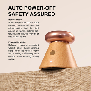 Rắn Gỗ Không Dùng Nước Khuếch Tán Sưởi Ấm Kiểm Soát Nhiệt Độ Hương Thơm Khuếch Tán Có Thể Sạc Lại Phòng Văn Phòng Xe Thông Minh Hương Thơm Khuếch Tán - Product Image 3