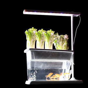 Sistema Acquaponico con Acquario, Luci di Crescita Micro-Ecologiche, Simbiosi Intelligente per la Cattura del <span class=keywords><strong>Carbonio</strong></span>, Vaso Ecologico con Lampada di Crescita - Product Image 6