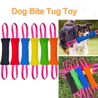 Jouet interactif pour chien résistant aux morsures, bâton à mâcher pour l'entraînement, modèle LY08995, pour la dentition et la mastication