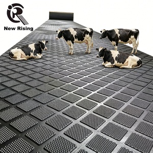 Alfombrillas <span class=keywords><strong>de</strong></span> Goma para Vacas, para Establos Lecheros, Alfombrillas <span class=keywords><strong>de</strong></span> Goma para Suelos <span class=keywords><strong>de</strong></span> Establos, Duraderas, Impermeables y Antideslizantes - Product Image 1