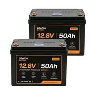 Aangepaste OEM 12.8V 50Ah LiFePO4 Deep Cycle Batterij Bluetooth BMS 6000 Cycli Graad A 640Wh RV Solar