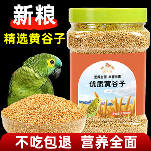 Aliment pour oiseaux : Millet décortiqué, céréales nutritives mélangées pour perroquet, perruche, calopsitte – Alimentation écologique pour animaux de compagnie, origine Shandong, forme ronde - Product Image 5