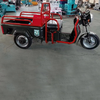 Vente en gros Tricycle électrique cargo 650W Vélo électrique grande puissance Tricycle électrique à 3 roues pour adultes