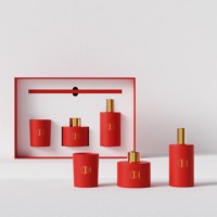 C & H Logo personnalisé de luxe 50 ml 120 ml bocaux en verre arôme liquide naturel parfum aromathérapie ensemble de diffuseur de roseau pour la fête