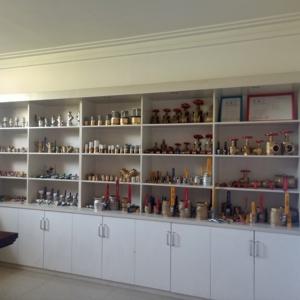 <span class=keywords><strong>2025</strong></span> nóng bán đồng thau nước không trở lại van áp lực máy giặt kiểm tra van - Product Image 3