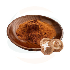 Poudre d'extrait de champignon Shiitake de qualité supérieure, fournie par China-Herb Supply |   Ingrédient naturel du genre Lentinus Edodes <span class=keywords><strong>pour</strong></span> <span class=keywords><strong>les</strong></span> formules de santé - Product Image 3