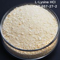 Youjian – Vente en gros usine : Poudre de L-lysine de qualité alimentaire, fortifiant nutritionnel, L-lysine 657-27-2