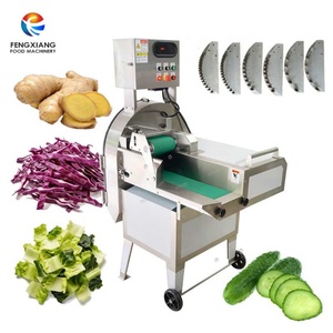 Machine de découpe de légumes commerciale, fournie directement par l'usine, pour la laitue, le gingembre, le chou, le concombre et la carotte - Product Image 1