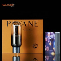Tube d'amplificateur audio professionnel Psvane Acme 211/211, amplificateur audio vintage Hifi DIY