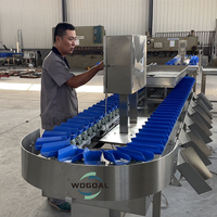 Fruit & groente guave mango knoflook sorteermachine voor fruitverwerkingsbedrijven met 304 roestvrij staal