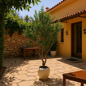 Arbre d'<span class=keywords><strong>olivier</strong></span> en plastique multi-tiges de qualité supérieure, écologique, durable, conçu pour une utilisation permanente en intérieur et en extérieur, pour la maison, le jardin, le bureau, les mariages - Product Image 4