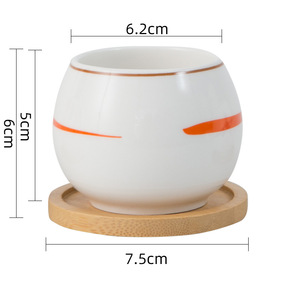 OEM Japanse stijl succulenten pot goedkope binnen plantenbak met dienblad - Product Image 2