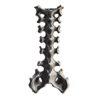 Pièces d'impression 3D SLM rapides : Prototypage vers production – Implant trabéculaire osseux en titane Ti6Al4V avec polissage A0