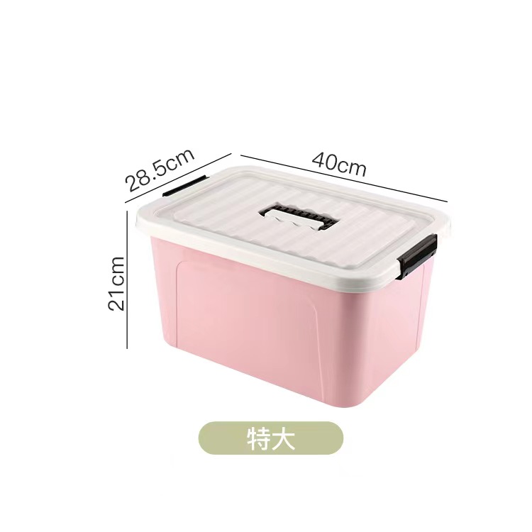 Pink-24L