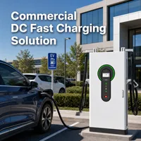 Estación de Carga Rápida para Vehículos Eléctricos de 40kW 60kW 80kW 120kW 160kW CC, OCPP CCS2 GBT IP54, Montada en el Suelo, Comercial