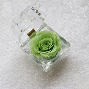 Bán Buôn Hot Bán Bảo Quản Hoa Bất Tử Rose Quà Tặng Bảo Quản Rose Trong Nhỏ Tinh Tế Hộp Pha Lê - Product Image 5