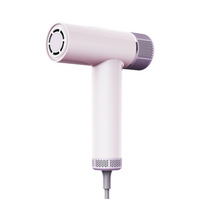 Sèche-cheveux domestique à double entrée transfrontalière Ion négatif sans brosse Mini ventilateur en plastique à grande vitesse Source d'alimentation électrique
