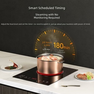 Cuisinière à induction portable à brûleur unique, plaque de <span class=keywords><strong>cuisson</strong></span> électrique intégrée, alimentation <span class=keywords><strong>solaire</strong></span>/par batterie 220V pour usage domestique, friture et fondue - Product Image 4
