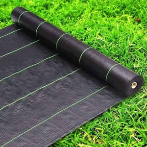 Toile <span class=keywords><strong>de</strong></span> paillage <span class=keywords><strong>anti</strong></span>-mauvaises herbes pour serre, non tissée, non perforée, en rouleaux vert et blanc pour l'agriculture - Product Image 4