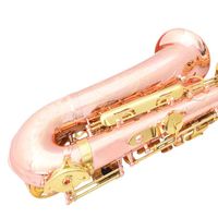 Ehrman Earl Mann Alto Saxophone Y-AS-307 Phosphor Bronze Beginner Professional Performance Style Made in Mainland China