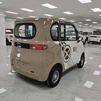 Nouvelle Voiture Électrique Quatre Roues 2026, 1000W, Mini-Voiture Électrique du Fabricant, Qualité Supérieure pour Adultes