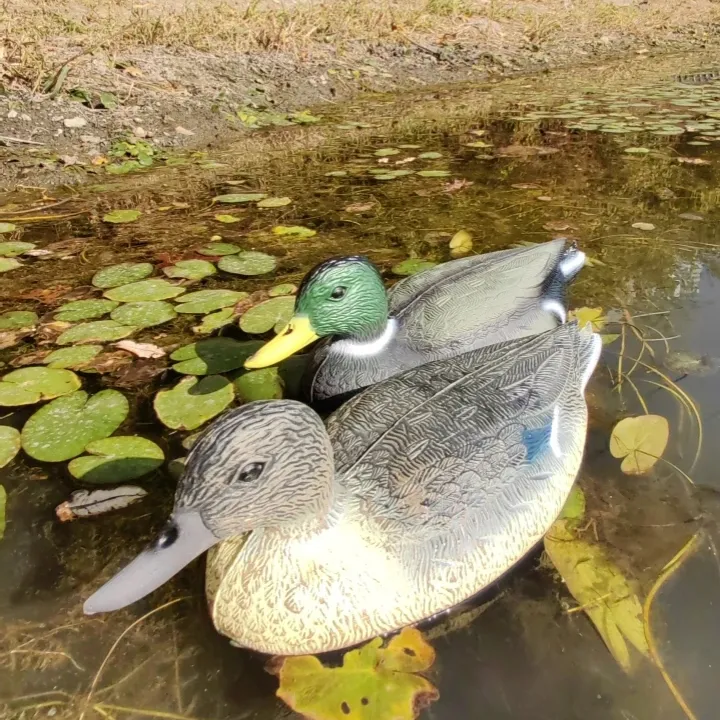 Jardim ao ar livre para caça selvagem, equipamento artesanal, chamariz de plover dourado, chamariz de plástico para caça de pássaros, areia flutuante 3D, chamariz de pato