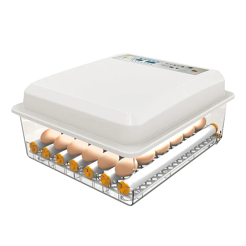 Incubadora de suministro directo de fábrica, Incubadora de huevos de pollo, máquina para incubar 36 huevos, accesorios de motor CE para incubadora de huevos