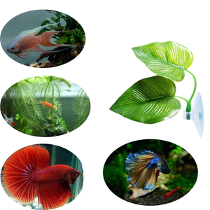 Modern Double-Layer Plastic <span class=keywords><strong>Betta</strong></span> Leaf Square Aquarium Decor Sucker-Fixed Cilindro para <span class=keywords><strong>Fish</strong></span> Living Square Aquarium Acessórios - Product Image 4