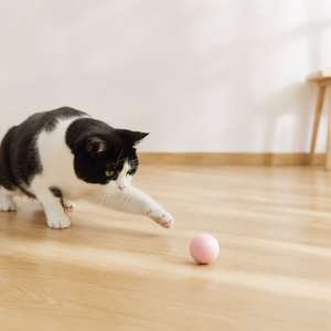 Interactive Toys Training Self-moving Catnip Toys for Cat Electric Pet Ball Automatic Rolling Ball Smart Cat Toys - Product Image 5