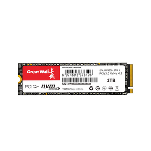 Disque SSD Great Wall GW3300 1TB 2TB 256GB 512GB SATA NVMe PCIe 3.0 * 4 M.2 M2 - Product Image 2