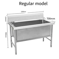 Piscine de bain pour chien en acier inoxydable 304, fabriquée en usine, écologique, pour le toilettage des animaux, utilisation en salle de bain, design durable et étanche