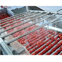 Euro-Standaard Tomaat Puree Tomaat Bechame Verwerking Lijn Tomaat Catsup Making Machine